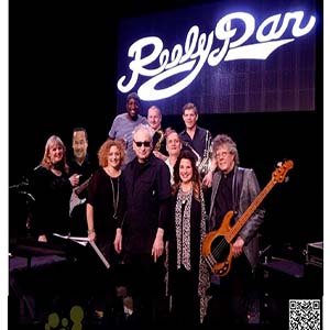 Reely Dan 300