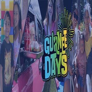 Gurnee Days 300