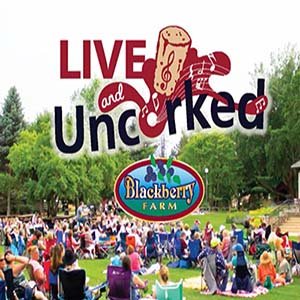 blackberry farm 300